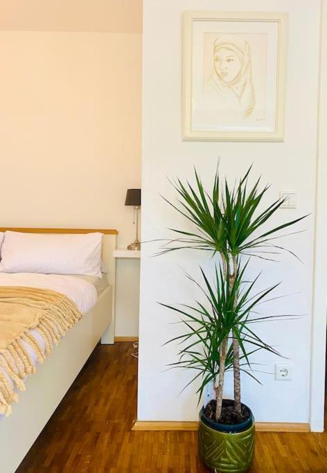 Nice And Calm Apartment In Duesseldorf 外观 照片